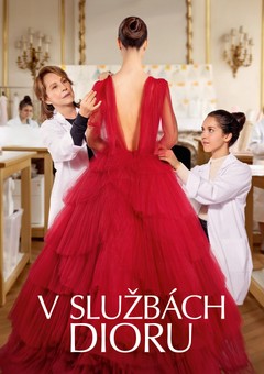 V službách Dioru